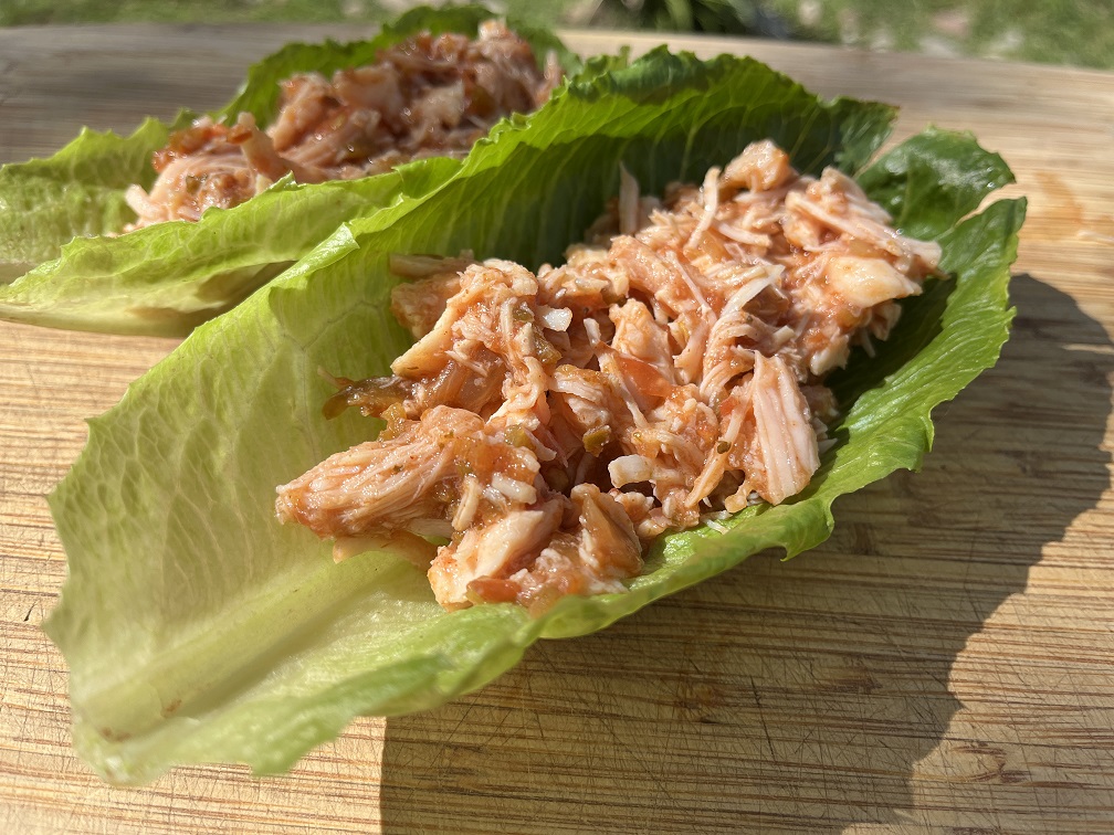 Chicken and Salsa Lettuce Wrap